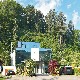 B�rofl�che in Glottertal (#9519)