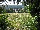 1497 m² Grundst�ck in Billigheim (#9020)