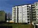 Wohnung in Freiburg: ID-10761